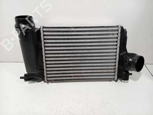 Intercooler RENAULT SCÉNIC IV (J9_) 1.2 TCe 130 (130 hp) 33163420