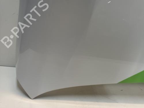 Hood RENAULT KANGOO III Box Body/MPV 1.5 Blue dCi 115 (FJAC) | BP29918529C1