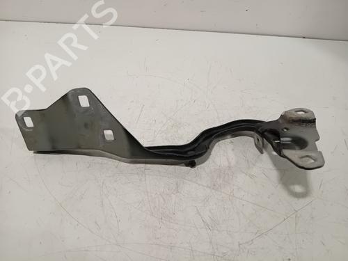 Used Hinge/Door check strap RENAULT SCÉNIC IV (J9_) 1.2 TCe 130 (130 hp) 33003691