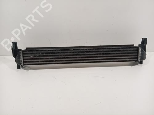 Intercooler VW POLO V (6R1, 6C1) 1.2 TDI (75 hp) 30567206