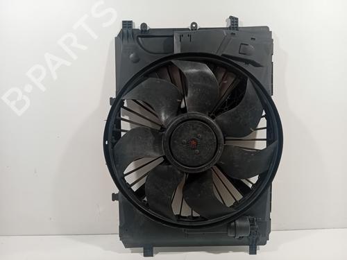 Used Electronic module MERCEDES-BENZ C-CLASS (W204) C 200 CDI (204.001) (136 hp) 29941193