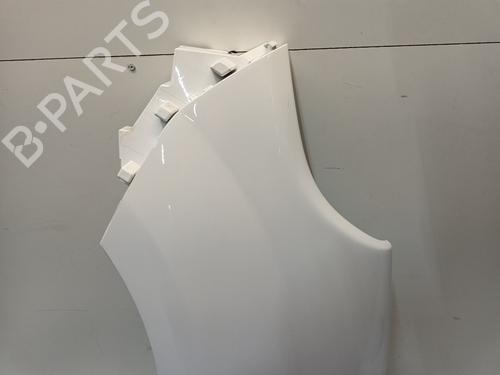 Left front fenders RENAULT KANGOO Express (FW0/1_) 1.5 dCi 90 (FW0G, FW05, FW08, FW11) | BP30152744C41 