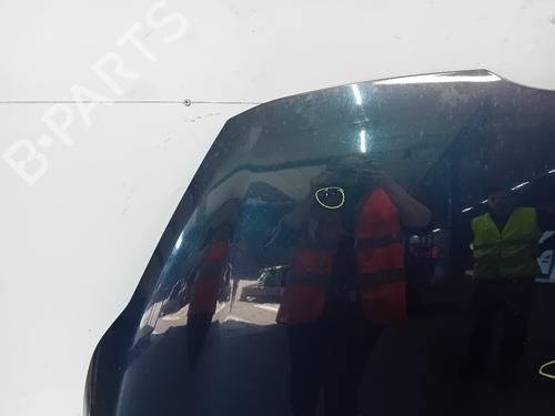 Hood FORD FIESTA VI (CB1, CCN) 1.6 TDCi | BP19773421C1 