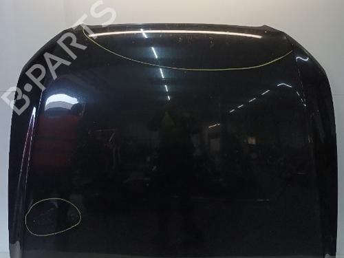 Used Hood AUDI Q5 (8RB) 3.0 TDI quattro (240 hp) 18013106