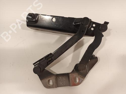 Hinge/Door check strap LAND ROVER RANGE ROVER EVOQUE (L538) 2.2 D 4x4 | BP16773452C146 