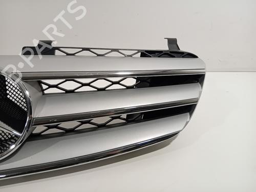 Grille MERCEDES-BENZ R-CLASS (W251, V251) R 350 (251.056, 251.156) | BP29634834C40 