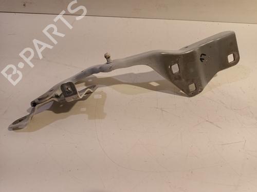Hinge/Door check strap RENAULT SCÉNIC IV (J9_) 1.2 TCe 130 | BP16948893C146 