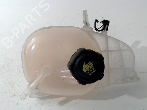 Used Expansion tank RENAULT TWINGO III (BCM_, BCA_) 1.0 SCe 70 (BCMB) (69 hp) 13206677