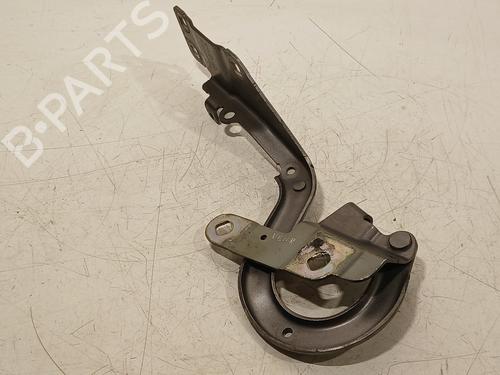 Hinge/Door check strap RENAULT ESPACE V (JR_) 1.6 dCi 160 654005932R | 654010288R