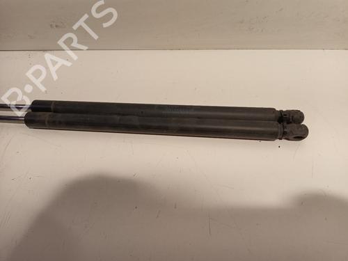 Tailgate lift support FORD KUGA I 2.0 TDCi | BP16959148C138 