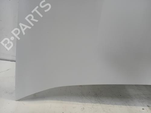 Hood FIAT DOBLO Cargo (263_) 1.3 D Multijet | BP28083633C1 