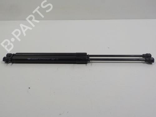 Tailgate lift support RENAULT ZOE (BFM_) ZOE | BP17087893C138 
