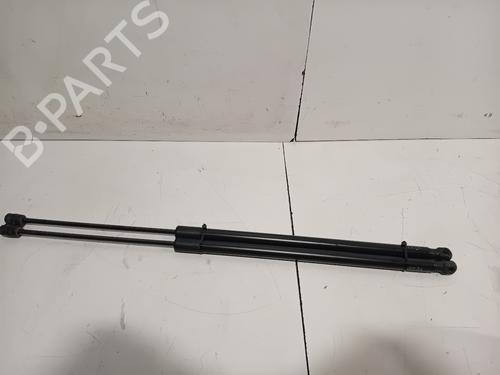 tailgate-lift-support-bmw-x3-f25-2010-2011-2012-2013-2014-2015-2016-2017-30641174 main image