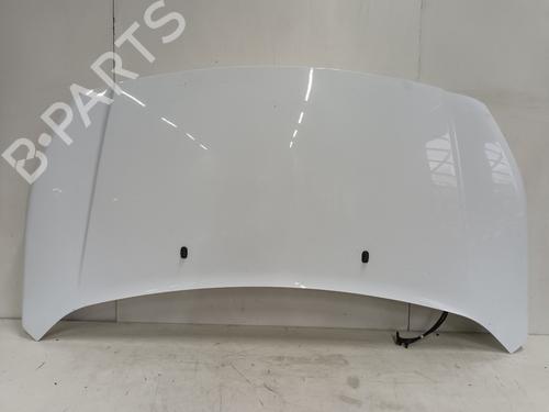Hood FORD TRANSIT CONNECT V408 Box Body/MPV 1.6 TDCi BP23987978C1