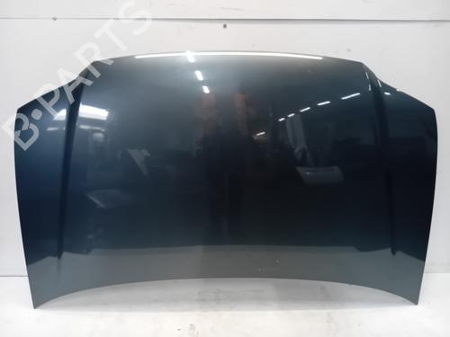 Used Hood VW CADDY III Box Body/MPV (2KA, 2KH, 2CA, 2CH) 1.9 TDI (75 hp) 28083613