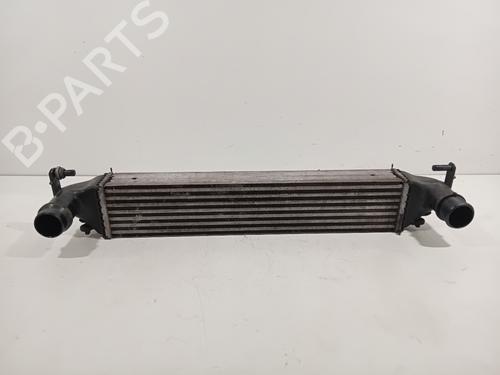 Used Intercooler FIAT 500X (334_) 1.4 (334AXC1B, 334AXC11) (140 hp) 26725493