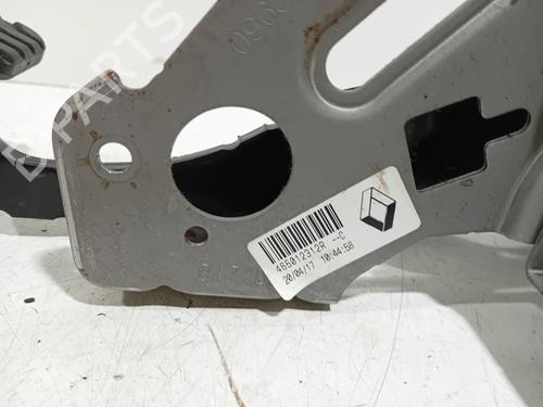 Break pedal RENAULT SCÉNIC IV (J9_) 1.2 TCe 130 | BP16948908I19 