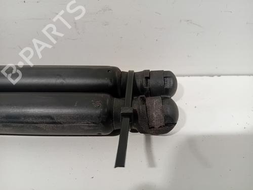 Tailgate lift support FIAT TIPO Estate (356_, 357_) 1.4 (356WXF1B) | BP25009835C138