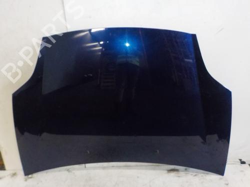 Used Hood FIAT BRAVO II (198_) 1.4 (198AXA1B) (90 hp) 15491006