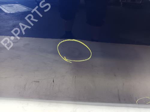 Left front door FIAT BRAVO II (198_) 1.6 D Multijet (198AXH1B) | BP19287041C2 