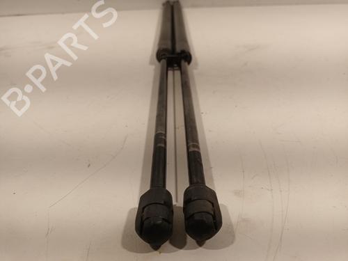 Tailgate lift support LAND ROVER RANGE ROVER SPORT I (L320) 2.7 D 4x4 | BP27544242C138 