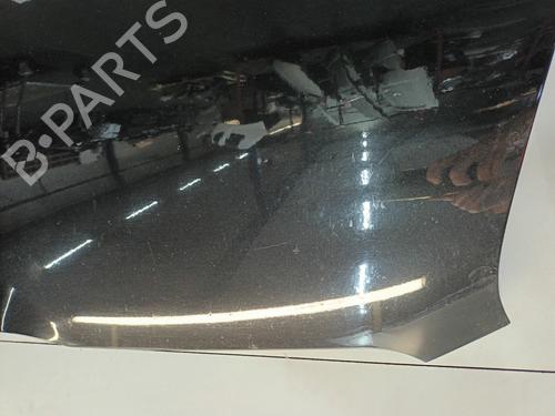 Hood FIAT DOBLO Cargo (263_) 1.3 D Multijet | BP29864267C1