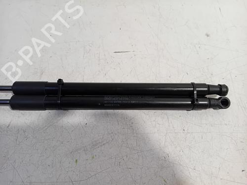 Tailgate lift support NISSAN QASHQAI / QASHQAI +2 I (J10, NJ10, JJ10E) 1.5 dCi | BP19078123C138 