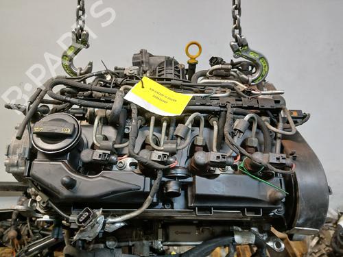 Engine VW CADDY III MPV (2KB, 2KJ, 2CB, 2CJ) 1.6 TDI | BP37446956M1  - Image 5