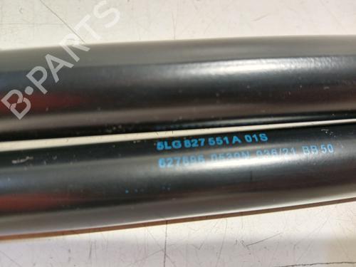 Tailgate lift support SKODA ENYAQ iV SUV (5AZ) 60 | BP32388886C138