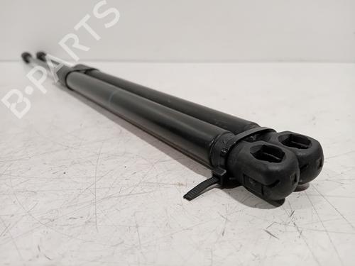 Tailgate lift support SKODA OCTAVIA III (5E3, NL3, NR3) 1.0 TSI | BP20136098C138 