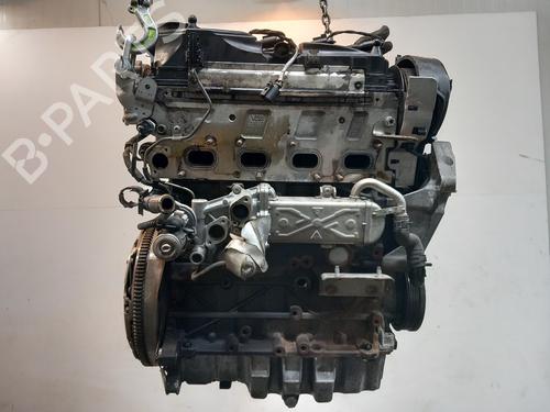 Engine VW GOLF VI (5K1) 1.6 TDI | BP37181216M1 - Image 4