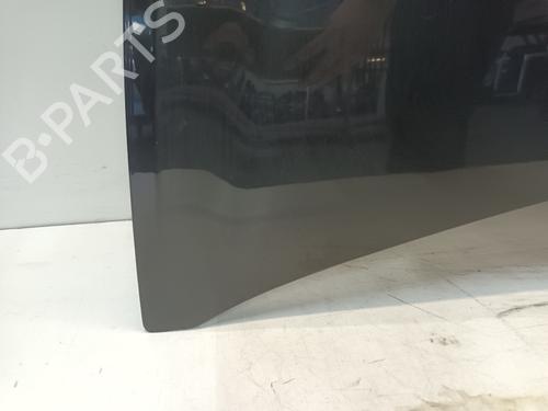 Hood RENAULT CLIO III (BR0/1, CR0/1) 1.2 16V (BR0P, CR0P) | BP18645542C1 
