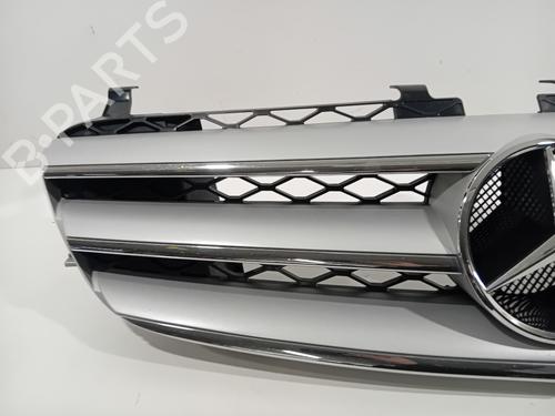 Grille MERCEDES-BENZ R-CLASS (W251, V251) R 350 (251.056, 251.156) | BP29634834C40 