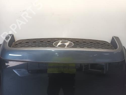Hood HYUNDAI SANTA FÉ I (SM) 2.0 | BP19274403C1 