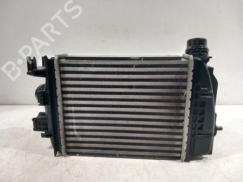 Intercooler NISSAN JUKE (F16_) DIG-T 117 | BP39494060M30 - Image 6