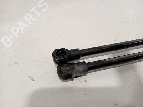 Tailgate lift support FIAT 500 (312_) 1.2 (312AXA1A) | BP21112533C138 