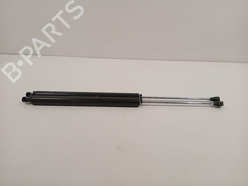 Tailgate lift support PEUGEOT PARTNER Tepee 1.6 VTi | BP24631317C138 