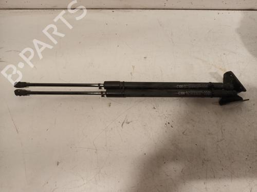 Tailgate lift support CHEVROLET CAPTIVA (C100, C140) 3.2 4WD BP16420602C138