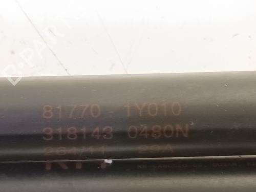 Tailgate lift support KIA PICANTO II (TA) 1.0 | BP17954398C138 