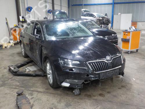  - Image 7