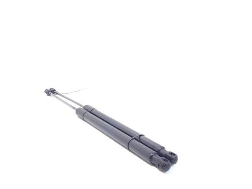 Tailgate lift support BMW X1 (E84) xDrive 20 d | BP13197539C138 