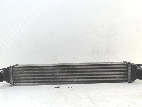 Intercooler FIAT FIORINO Box Body/MPV (225_) 1.3 D Multijet (225BXD1A, 225BXB1A, 225BXB11) | BP13201429M30 