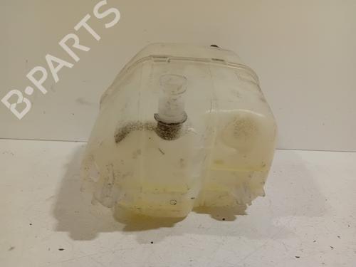 Expansion tank RENAULT KANGOO Express (FW0/1_) Z.E. (FW0Z, FW1Z) | BP21081913C120 