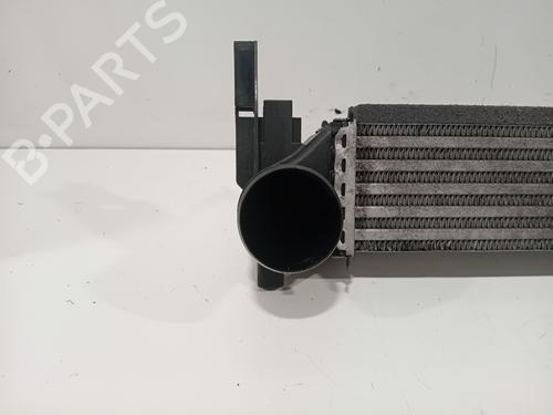 Intercooler VW POLO V (6R1, 6C1) 1.2 TDI | BP30567206M30 