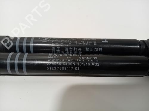 Hood lift support BMW 5 (F10) 530 d | BP29541102C139 