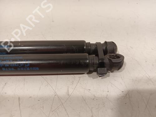 Tailgate lift support NISSAN MICRA V (K14) 0.9 IG-T | BP18069052C138 