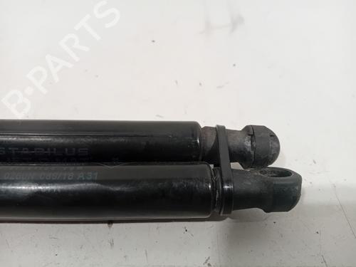 Hood lift support RENAULT SCÉNIC IV (J9_) 1.5 dCi 110 | BP25834962C139 