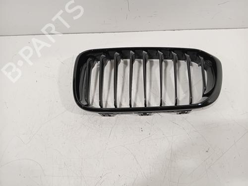 grille-bmw-1-f20-2011-2012-2013-2014-2015-2016-2017-2018-2019-32189459 main image