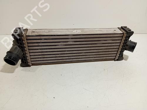 Used Intercooler Intercooler 19030304 19030304