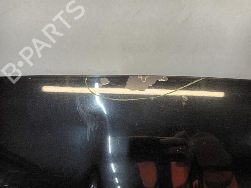 Cofano anteriore FIAT 500 (312_) 1.2 (312AXA1A) | BP30835699C1